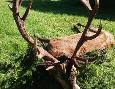 wta_2480_WhatsApp Image 2024-05-10 at 11.51.49