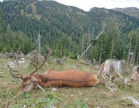 wta_2480_WhatsApp Image 2024-05-10 at 11.56.11