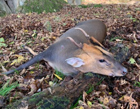 wta_2483_8c1eae6b-a4ad-49a5-a185-f34384110849