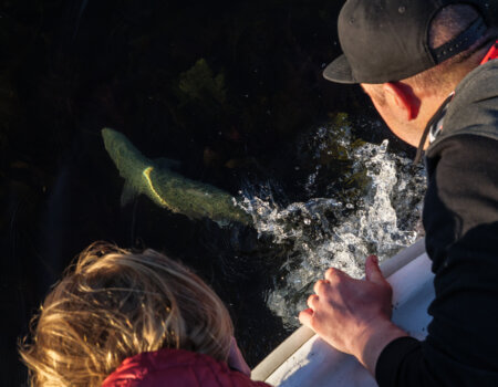 wta_2484_20220617-P1192769