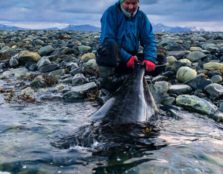 wta_2484_27B58DAB-9BEB-48BC-9243-957BE020B4FE