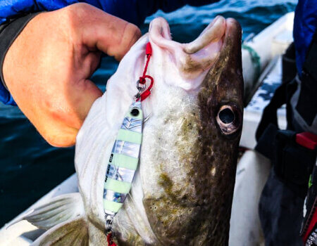 wta_2484_2F5B3FD9-FD9D-4A34-88E6-004C31D49B7C