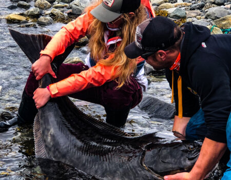 wta_2484_5A2940BA-00A2-4136-B8C9-29DD79E415E1