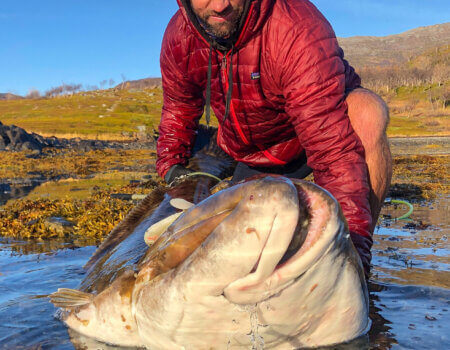 wta_2484_AC8717B8-4F93-4FC1-B9D1-0976960B4317