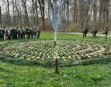 wta_2486_20231207_175934655_iOS