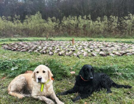 wta_2486_20231207_175934776_iOS