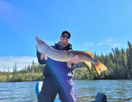 wta_2488_pike