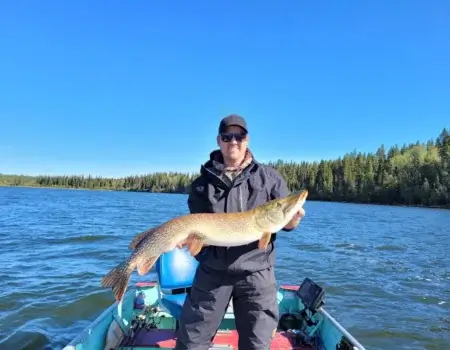 wta_2488_pike2