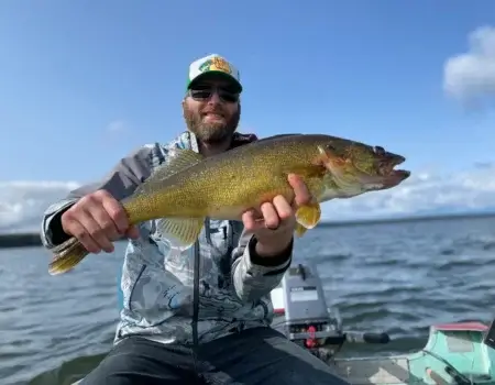 wta_2488_walleye2