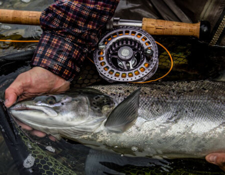 wta_2491_3A1329CD-69FA-4F65-BB8A-B9383D3CB735