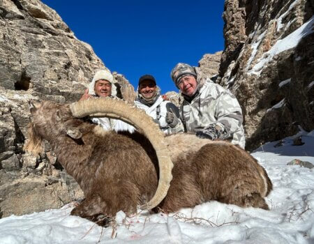 wta_2492_WhatsApp Image 2024-06-03 at 22.42.37 (11)