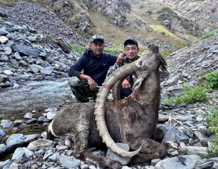 wta_2492_WhatsApp Image 2024-06-03 at 22.42.37 (12)