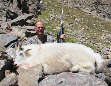 Colorado Mountain Goat