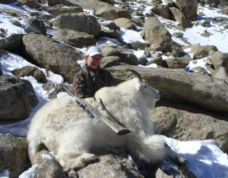 Colorado Mountain Goat