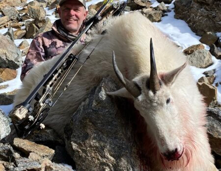 Colorado Archery Mountain Goat