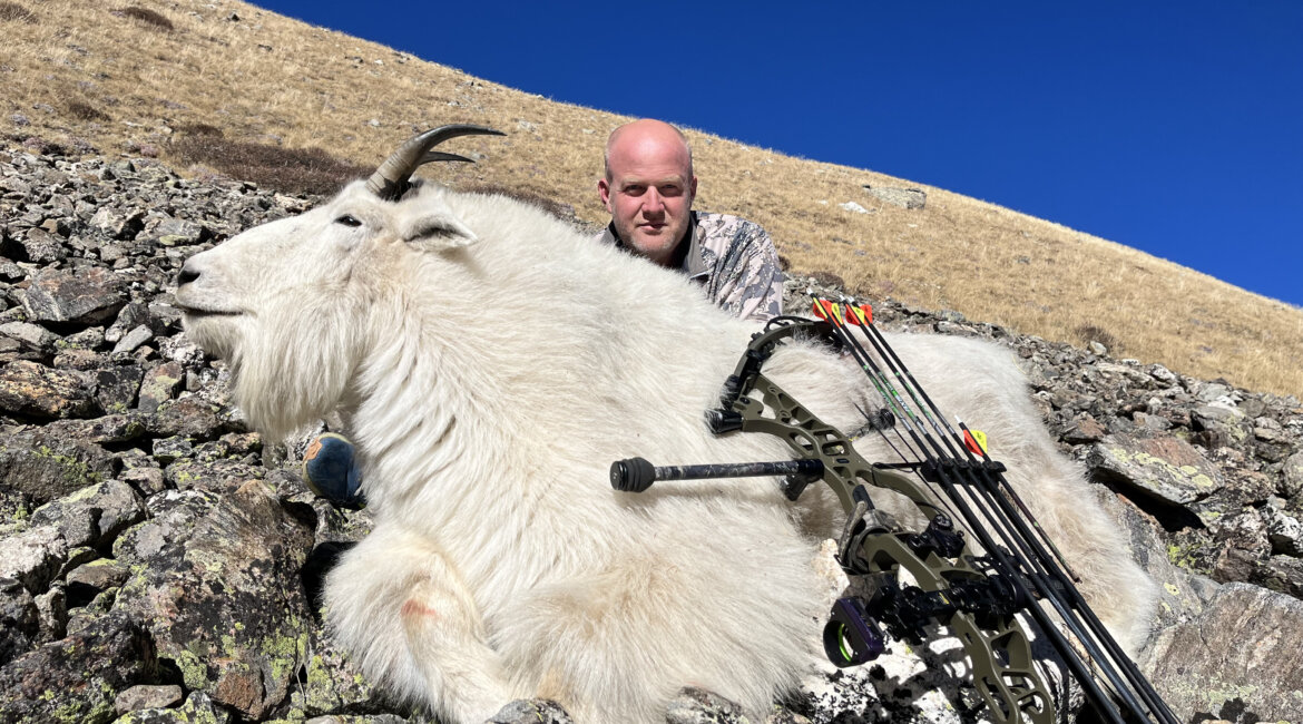 Colorado Archery Mountain Goat