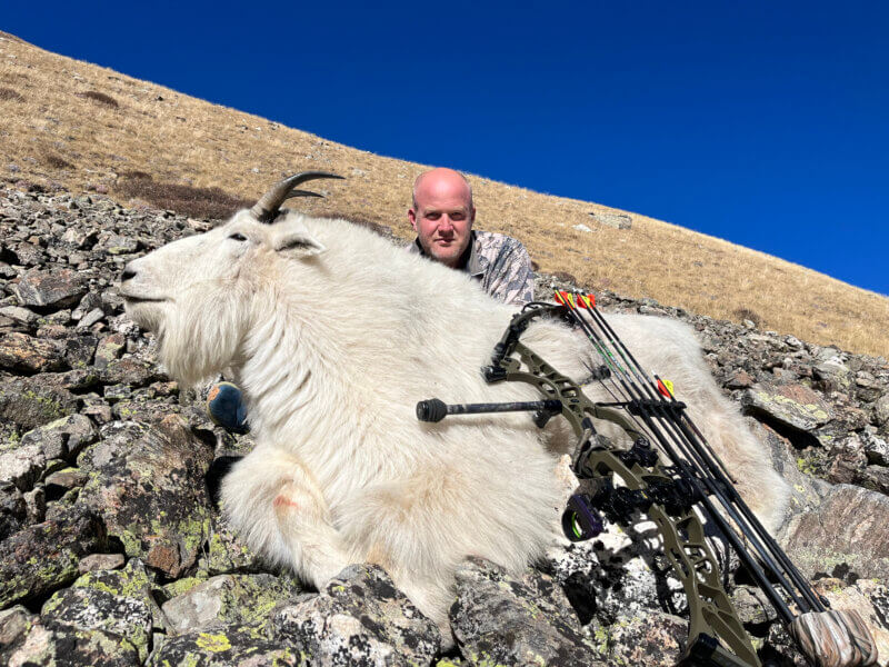 Colorado Archery Mountain Goat
