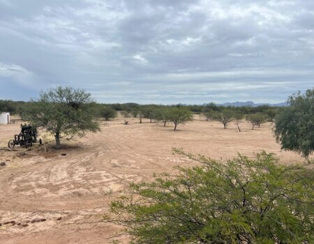 wta_2496_WhatsApp Image 2024-06-10 at 22.13.54 (1)