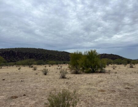 wta_2496_WhatsApp Image 2024-06-10 at 22.13.55 (1)