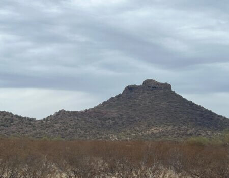 wta_2496_WhatsApp Image 2024-06-10 at 22.13.55 (2)