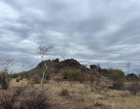 wta_2496_WhatsApp Image 2024-06-10 at 22.13.55 (3)