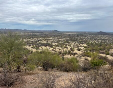 wta_2496_WhatsApp Image 2024-06-10 at 22.13.56 (1)