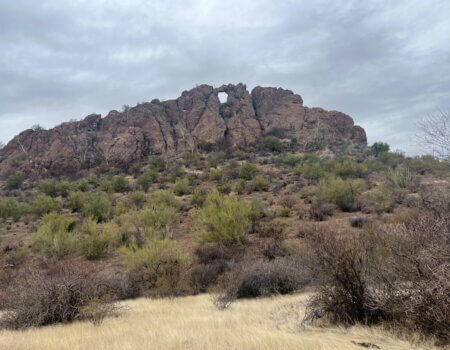 wta_2496_WhatsApp Image 2024-06-10 at 22.13.56