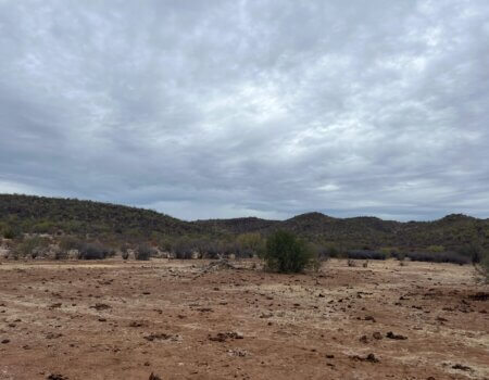 wta_2496_WhatsApp Image 2024-06-10 at 22.13.57 (1)