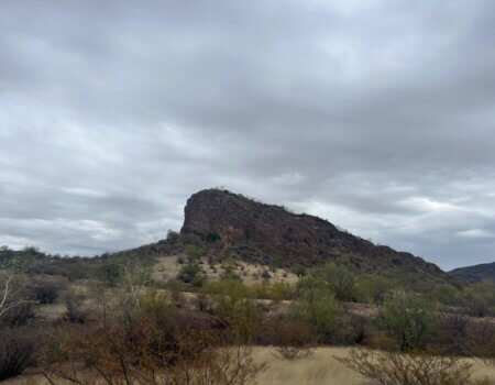 wta_2496_WhatsApp Image 2024-06-10 at 22.13.57 (2)