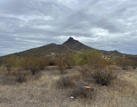 wta_2496_WhatsApp Image 2024-06-10 at 22.13.57