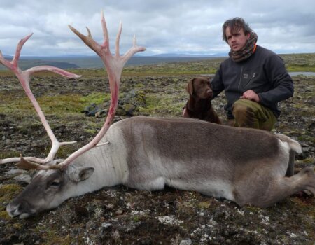 wta_2500_L1050401-1024x683