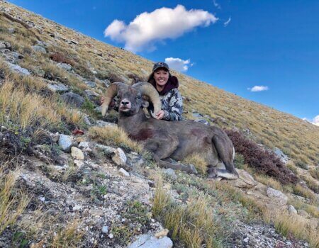 wta_2501_Megan S - CO sheep - S-12 - 2019