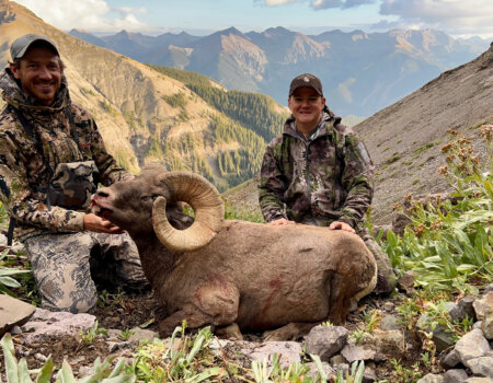 wta_2501_cwo_2025_sheep-05