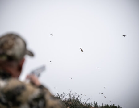 wta_2502_2238_Ireland Stag SOA 25_Photos_Nick Trehearne_HR Select-157