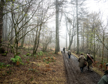 wta_2502_2238_Ireland Stag SOA 25_Photos_Nick Trehearne_HR Select-38