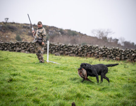 wta_2502_2238_Ireland Stag SOA 25_Photos_Nick Trehearne_LR Select-155