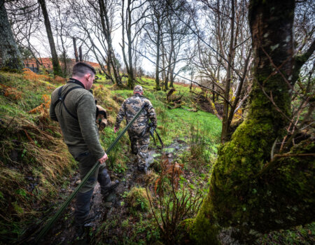 wta_2502_2238_Ireland Stag SOA 25_Photos_Nick Trehearne_LR Select-277