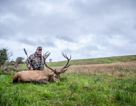 wta_2502_2238_Ireland Stag SOA 25_Photos_Nick Trehearne_LR Select-326