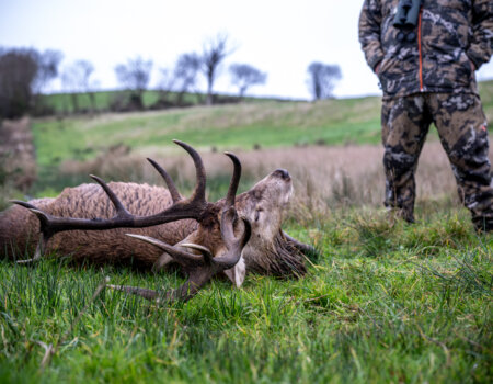 wta_2502_2238_Ireland Stag SOA 25_Photos_Nick Trehearne_LR Select-351