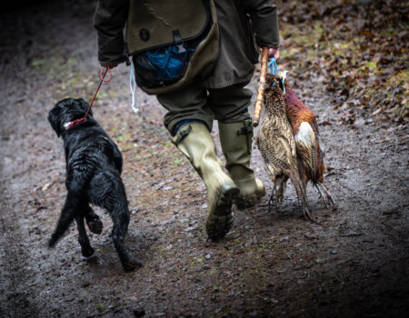 wta_2502_2238_Ireland Stag SOA 25_Photos_Nick Trehearne_LR Select-64