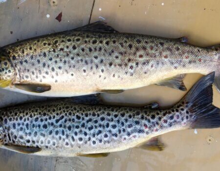 wta_2502_c8cc6f7e-27a3-4cd7-abbd-442b94544850