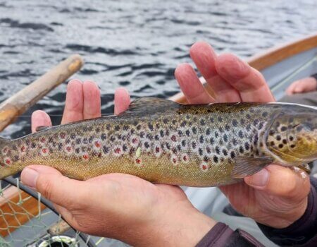 wta_2502_cfc92877-eb8a-454e-a3d1-6405356ddd2d