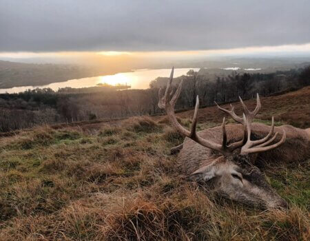 wta_2502_fbc4c0f3-8a4a-491c-9d0e-6e9916442f69