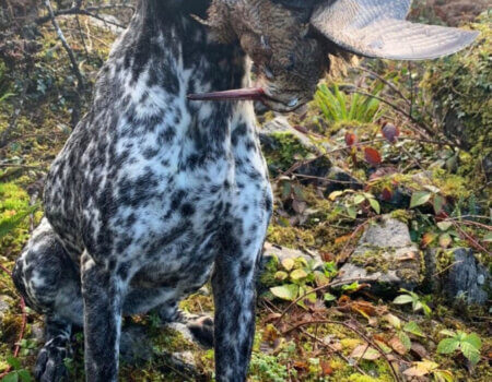 wta_2505_WhatsApp Image 2023-10-07 at 15.57.50 (3)