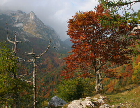 wta_2508_FOTOGRAFIJA-27