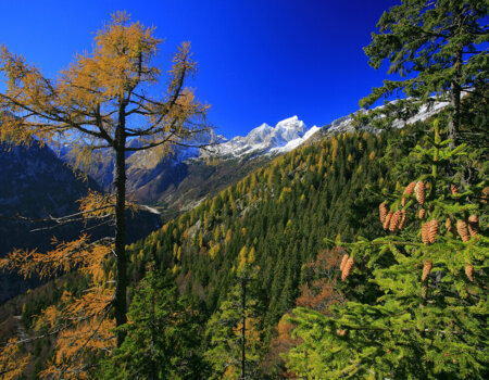 wta_2508_FOTOGRAFIJA-28