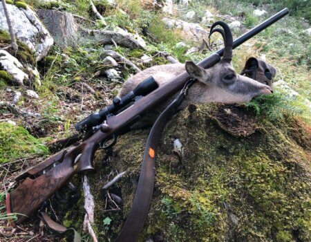 wta_2508_WhatsApp Image 2024-06-25 at 12.07.51