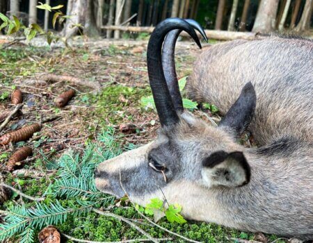 wta_2508_WhatsApp Image 2024-06-25 at 12.07.56