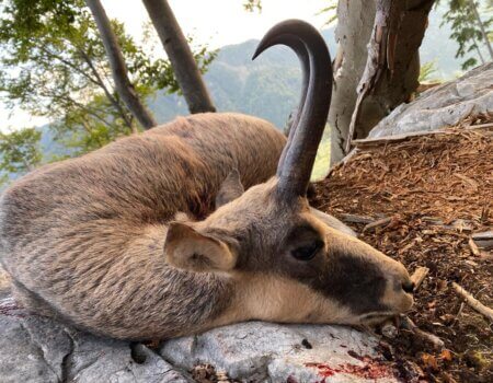 wta_2508_WhatsApp Image 2024-06-25 at 12.11.08 (1)