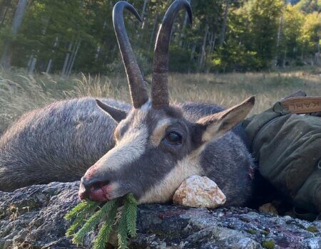 wta_2508_WhatsApp Image 2024-06-25 at 12.11.08